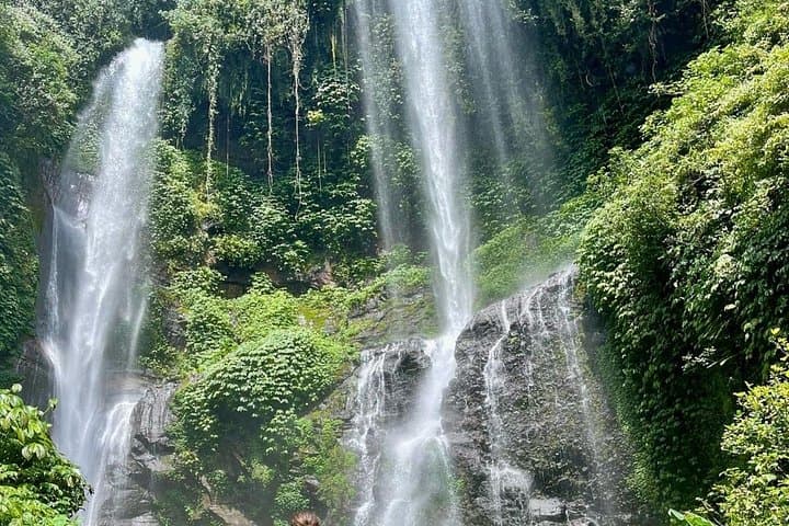 Sekumpul Waterfall North Bali Day Tour — Sekumpul, Handara Gate & Ulun Danu photo 6