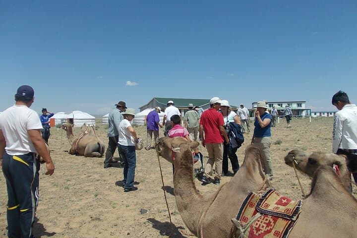 Gobi Highlights Tour: Khongor Sand Dunes, Flaming Cliffs & Yolyn Am photo 6