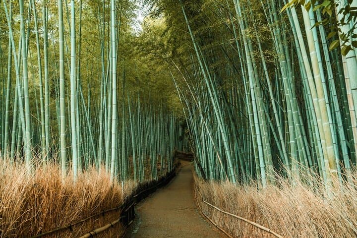 Private Customized Kyoto Tour: Full-Day English Guide & Hotel Pickup photo 2