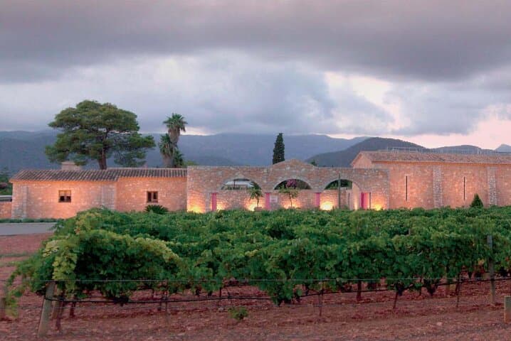 Private Tramuntana Villages and Winery Tour from Palma photo 3