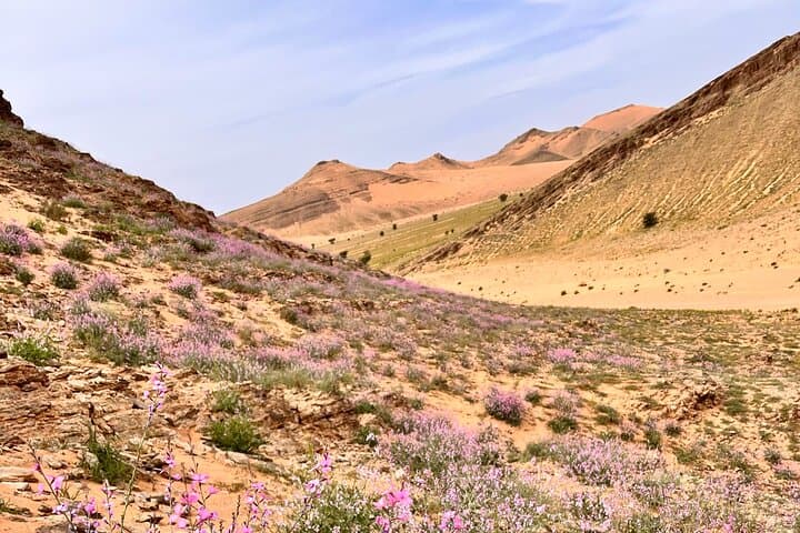 6-Day Silent Sahara: Off-Grid Nomad Nights & Merzouga Dunes photo 3