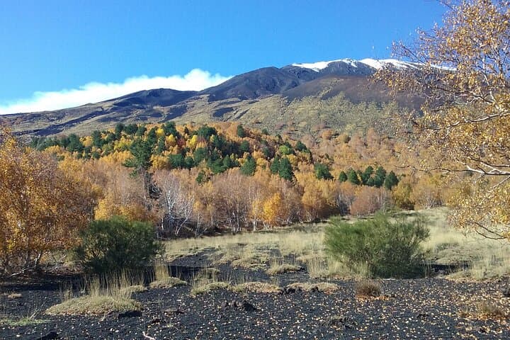 Etna Adventure from Taormina: Guided Mount Etna Hike, Lava Caves & Craters photo 4