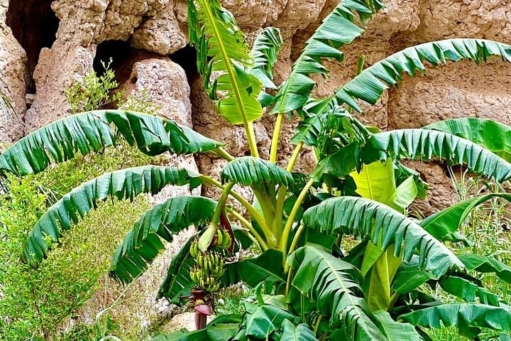Hike and Swim Oman’s Wadi Shab: Private Day Tour from Muscat