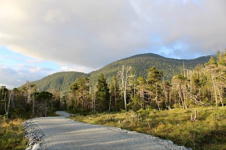 Guided Tongass National Forest Hike from Sitka — Eagles, Salmon & Tlingit Stories photo 5
