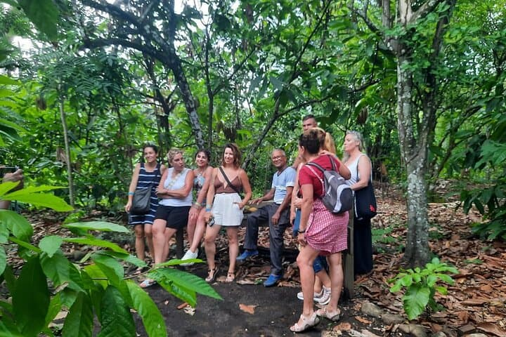 Puerto Plata Cocoa & Artisan Chocolate Tour: Hacienda Cufa Chocolate-Makers Experience photo 4