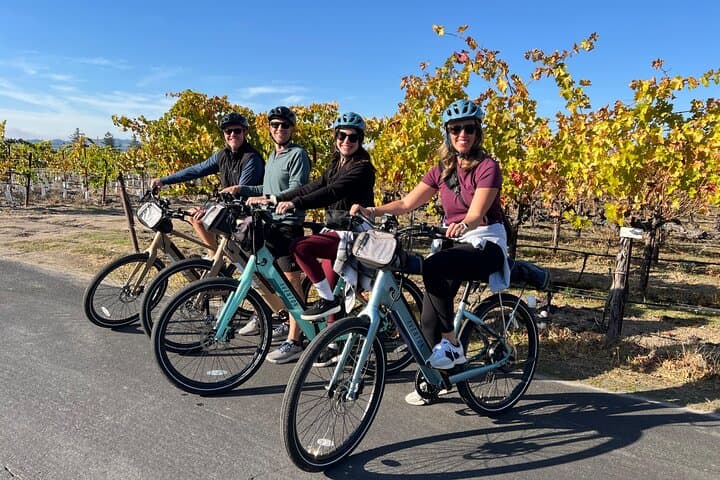 Healdsburg Cycling Wine Tour: Rolling Vineyards & Sustainable Tastings
