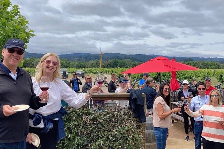 Healdsburg Cycling Wine Tour: Rolling Vineyards & Sustainable Tastings photo 4
