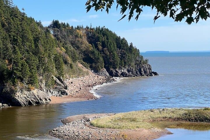 Bay of Fundy & Hopewell Rocks Private Tour from Saint John photo 2