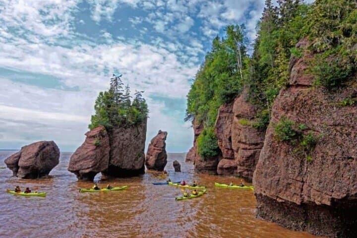 Bay of Fundy & Hopewell Rocks Private Tour from Saint John photo 3