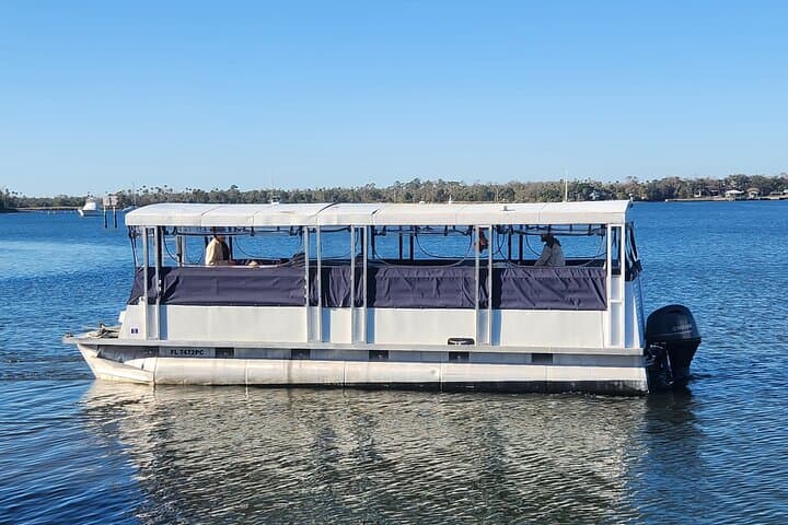 Crystal River Afternoon Ecological Boat Tour: Manatees, Sawgrass & Birds