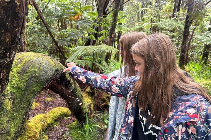 Exploring Hawaii’s Volcanoes National Park: A Custom Private Tour from Hilo photo 5