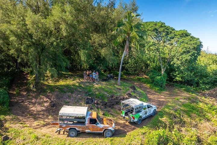 Bora Bora 4x4 Safari & Motu Fanfan Full-Day Combo with Polynesian Buffet photo 2