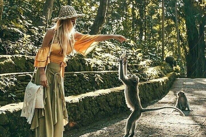 Ubud Scooter Tour: Scenic Rice Terraces, Waterfalls & Monkey Forest photo 3