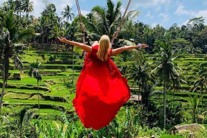 Ubud Day Loop: Tirta Empul Temple, Tegalalang Rice Terraces, Waterfall & Bali Swing