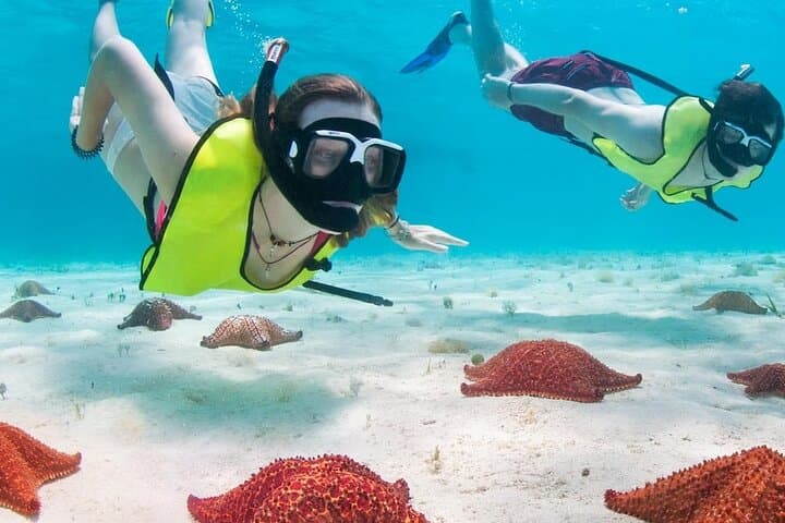 Cozumel Buggy Island Loop: Snorkel, Ruins & Mayan Flavors in One Day photo 4