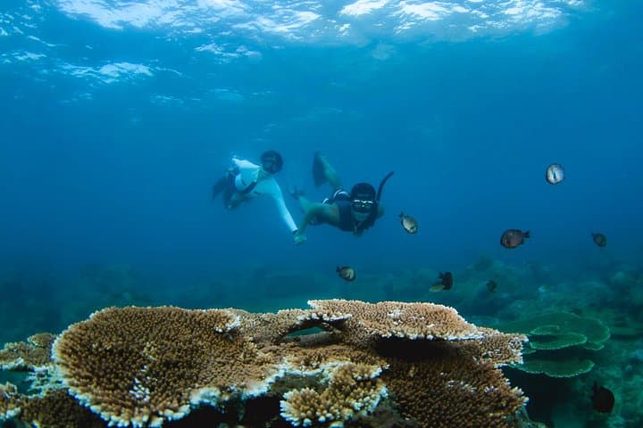 Semporna 4-Day Island Hopping & Snorkeling: Mataking, Mabul and Kapalai photo 3