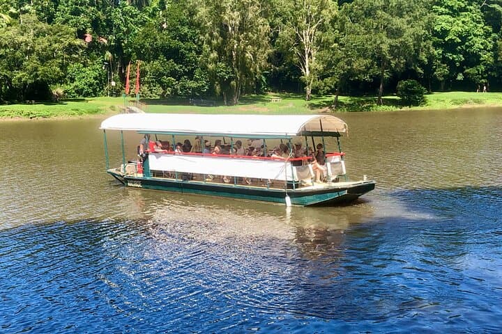 Kuranda Barron Riverboat Cruise: 45-Minute Rainforest Sightseeing