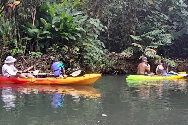 Kayaking the Faaroa River: A 3‑Hour Guided Paddle Through Raiatea’s Mangrove Labyrinth photo 2