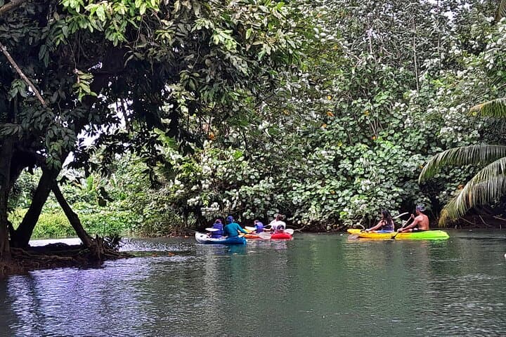 Kayaking the Faaroa River: A 3‑Hour Guided Paddle Through Raiatea’s Mangrove Labyrinth photo 3
