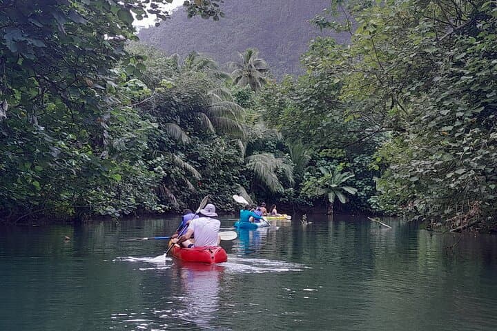 Kayaking the Faaroa River: A 3‑Hour Guided Paddle Through Raiatea’s Mangrove Labyrinth photo 4