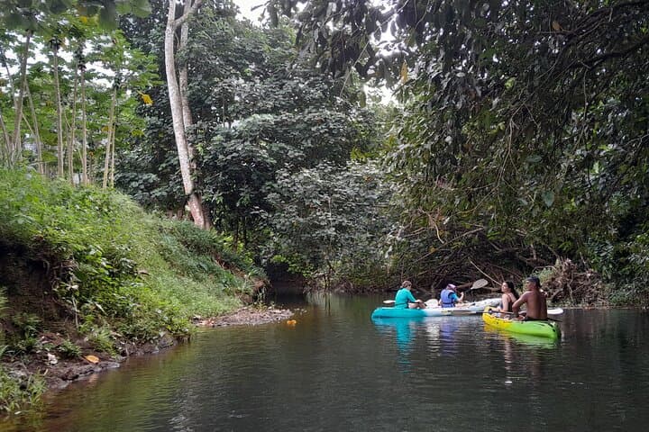 Kayaking the Faaroa River: A 3‑Hour Guided Paddle Through Raiatea’s Mangrove Labyrinth photo 5