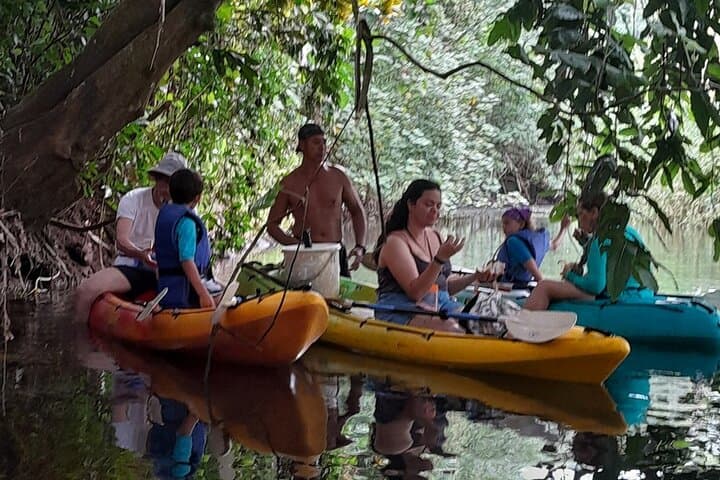 Kayaking the Faaroa River: A 3‑Hour Guided Paddle Through Raiatea’s Mangrove Labyrinth photo 6