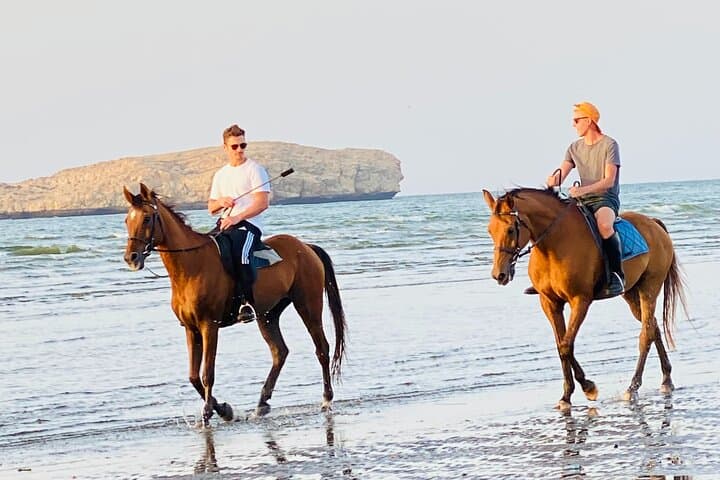 Sunset Horse Riding on Muscat Beach — 1-Hour Arabian Beachback Ride photo 2