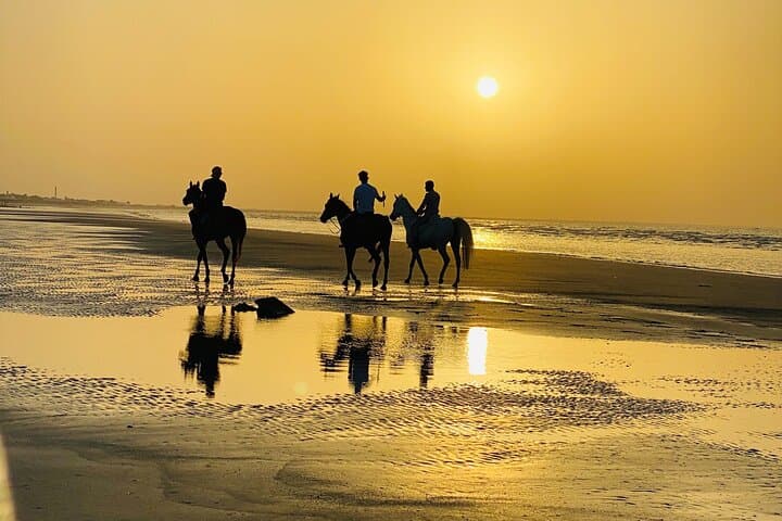 Sunset Horse Riding on Muscat Beach — 1-Hour Arabian Beachback Ride photo 4