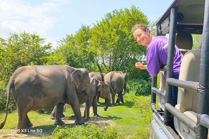 Udawalawe Private Safari: 4-Hour Elephant and Birdwatching Safari photo 6