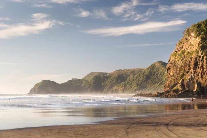 Piha & Waitakere West Coast Discovery: Piha Beach, Karekare Falls & Arataki Views photo 2