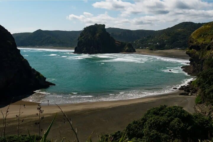 Piha & Waitakere West Coast Discovery: Piha Beach, Karekare Falls & Arataki Views photo 3