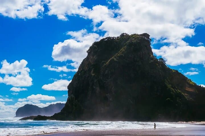 Piha & Waitakere West Coast Discovery: Piha Beach, Karekare Falls & Arataki Views