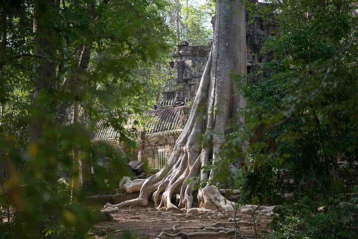 Angkor Off-Road Mountainbike Tour: Jungle Temples & Hidden Trails photo 6