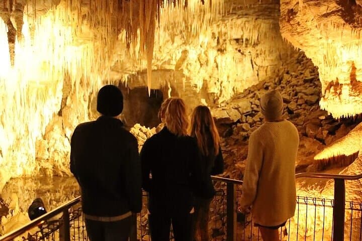 Exploring Waitomo Glow Worm Caves: Guided Boat Tour from Auckland photo 6