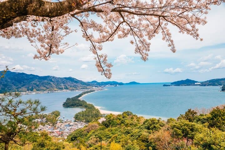 Kyoto by the Sea: Amanohashidate, Chionji Temple & Ine Boathouses Day Tour