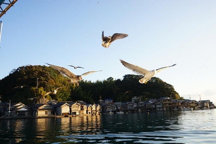 Kyoto by the Sea: Amanohashidate, Chionji Temple & Ine Boathouses Day Tour photo 3