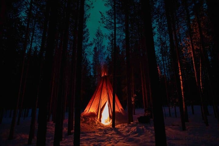Ivalo Aurora Hunting with Reindeer: Evening with Sámi Herds & Northern Lights photo 1