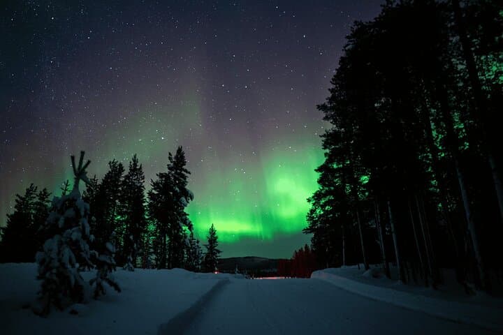Ivalo Aurora Hunting with Reindeer: Evening with Sámi Herds & Northern Lights photo 2