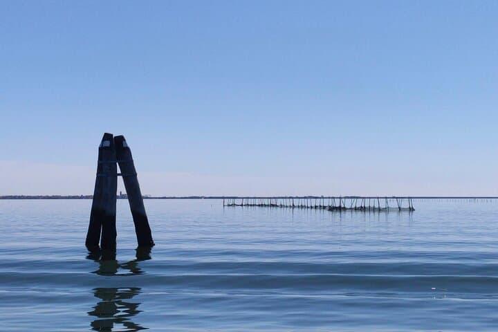 Private Chioggia Boat Tour: Explore Hidden Corners of the Venetian Lagoon photo 4