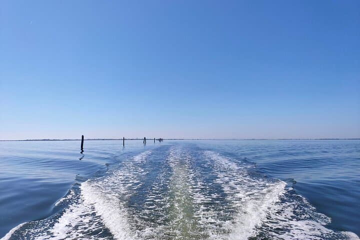 Private Chioggia Boat Tour: Explore Hidden Corners of the Venetian Lagoon photo 5