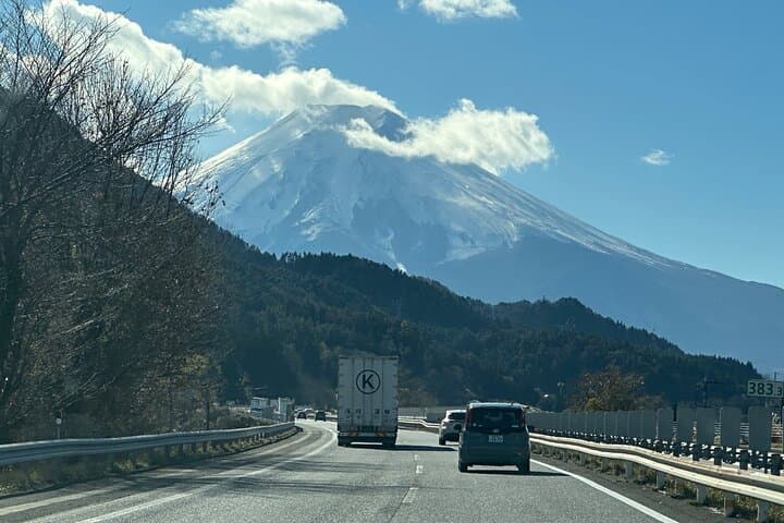 Private Mt Fuji & Hakone Day Tour from Tokyo — Ropeway, Lakes and Scenic Views photo 2