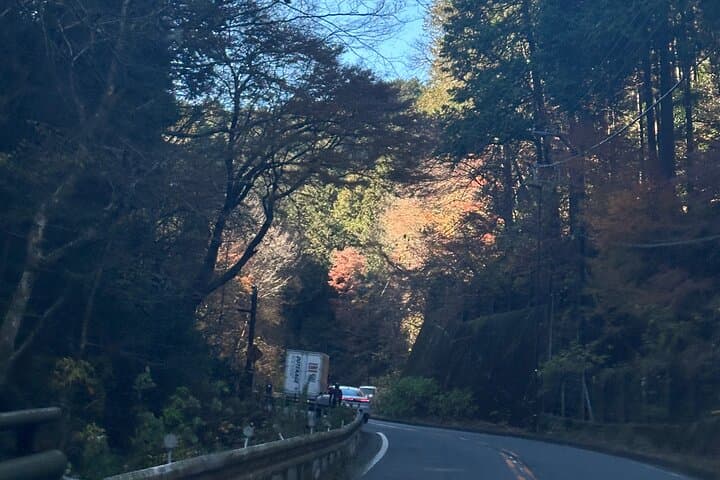 Private Mt Fuji & Hakone Day Tour from Tokyo — Ropeway, Lakes and Scenic Views photo 4