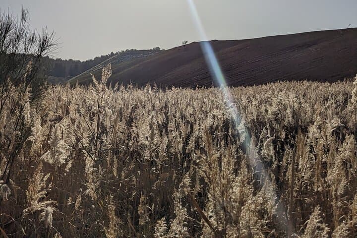 Granada Hot Springs Day Trip: Yoga, Thermal Baths & Massage in the Sierra Nevada Foothills photo 2