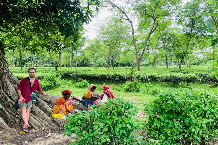Charubala Homestay — Community Homestay & Tea-Garden Treks in Juri, Bangladesh photo 2