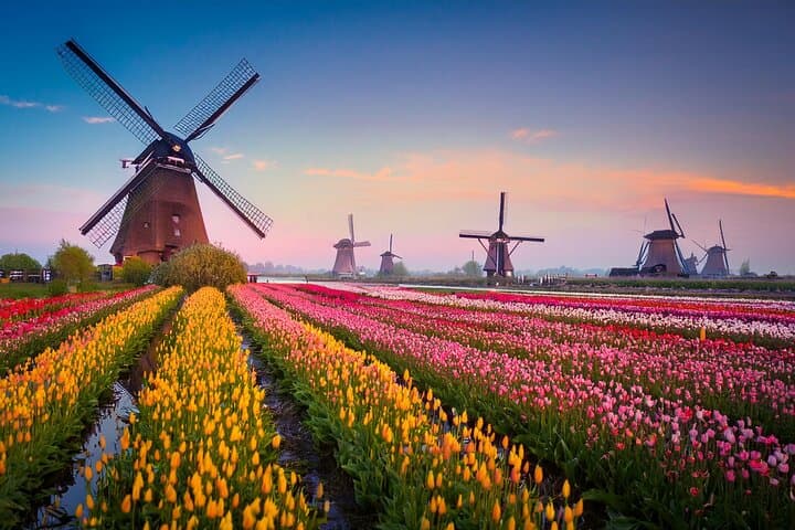 Private transfer Amsterdam to Kinderdijk with 2-hour stop at De Haar Castle