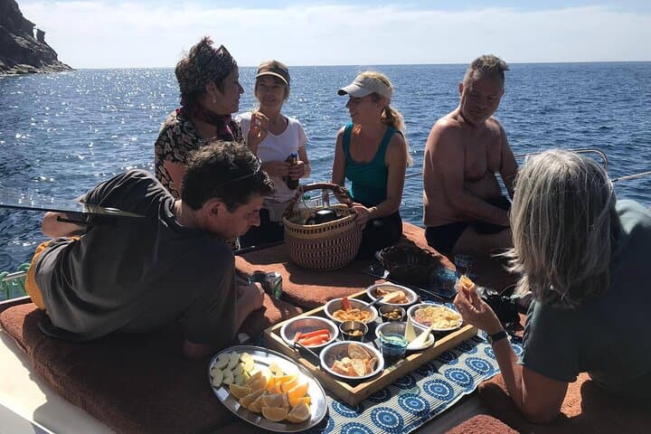 La Gomera Small-Group Whale and Dolphin Watching from Valle Gran Rey