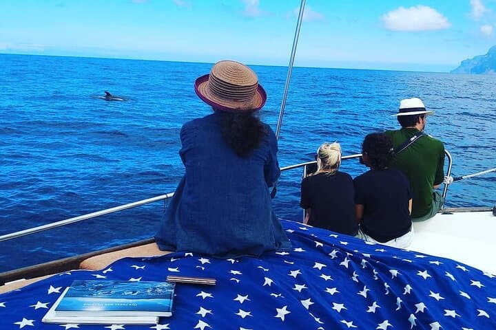 La Gomera Small-Group Whale and Dolphin Watching from Valle Gran Rey photo 4