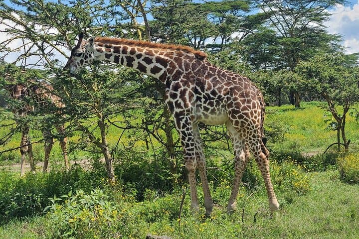 Hell's Gate & Crescent Island Day Tour from Nairobi: Biking, Boat Ride & Walking Safari