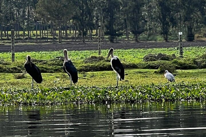 Hell's Gate & Crescent Island Day Tour from Nairobi: Biking, Boat Ride & Walking Safari photo 5