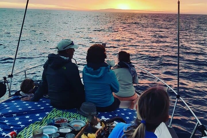 La Gomera Small-Group Whale and Dolphin Watching from Valle Gran Rey photo 6